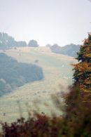 Butser Hill